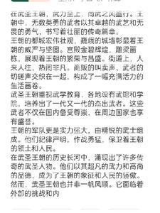 圣武王朝同人