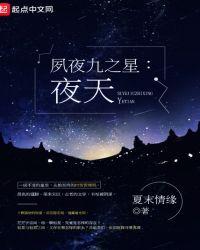 夙夜之城txt