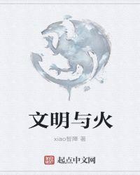 文明与战争破解版