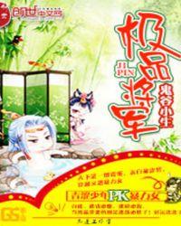极品木将