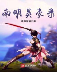 南明英杰传攻略