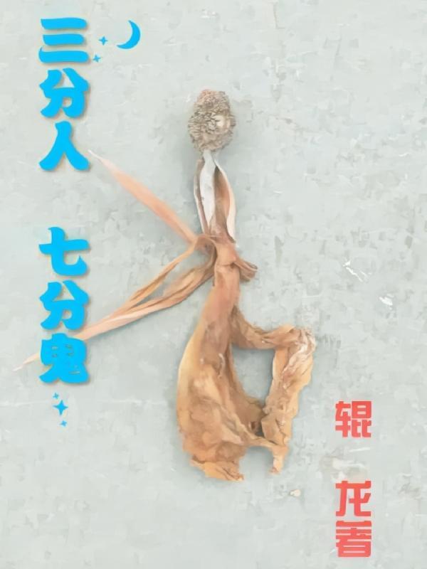 三分像人七分像鬼是成语吗