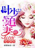 叶少的娇宠甜妻不欢而遇
