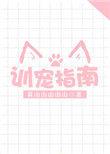 训宠高手