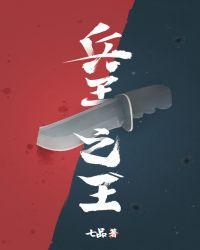 兵王之王txt