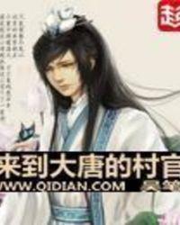 穿越大唐当村长