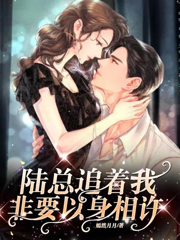 陆总偏要以身相娶