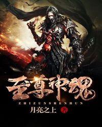 神魂至尊级别