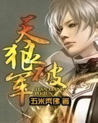 天狼星牌阵解读