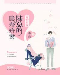 陆总的隐婚娇妻 视频