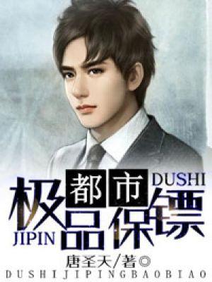 都市极品保镖TXT