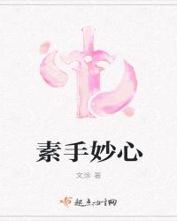 素手匠心txt书包网