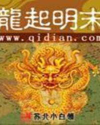 龙起清末