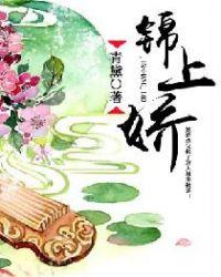 锦娇衣是杂牌还是名牌