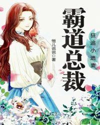 霸道总裁追妻狂魔