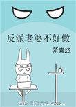 反派老婆不好做全文