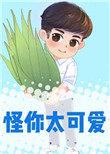 怪你太撩人全文免费阅读无弹窗