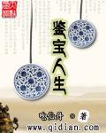 鉴宝人生TXT书包网