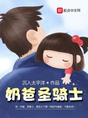 奶爸圣骑士之八