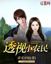 透视小农民文青免费阅读
