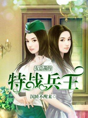 女总裁的特战兵王梁浩免费阅读