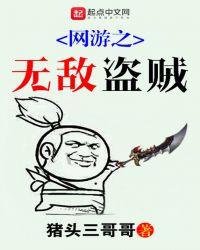 网游之无敌盗贼TXT全本