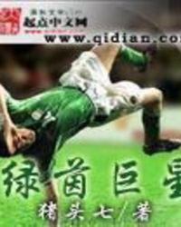 绿茵巨星无错