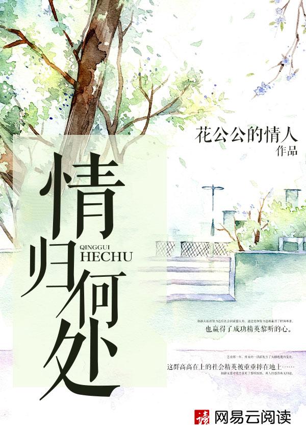 情归何处歌词什么歌