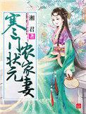 寒门状元农家妻TXT百度