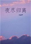 夜尽归离txt
