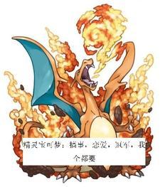 精灵宝可梦 恶搞