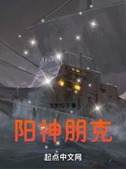 阳神朋克起点中文网