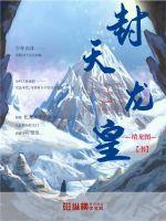 封流天龙国