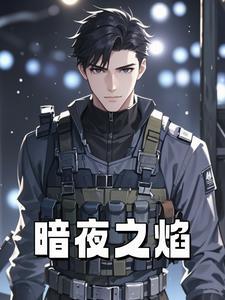 暗夜之狼暗夜