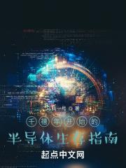 千禧年半导体生存指南的简介