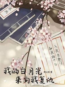 我的白月光简介