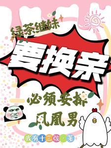 换亲后军官妹夫宠上天