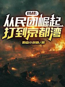 抗战之开局就是少帅