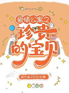 爱情公寓女主诺澜