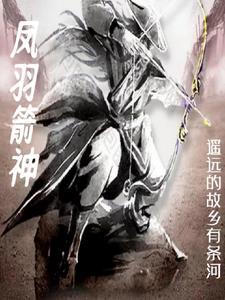 箭羽风息最便宜