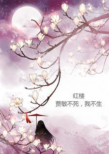 贾敏的红楼生活