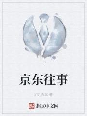 京东起家史