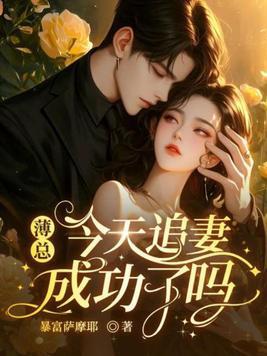 薄总追妻 薄景川