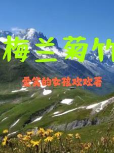 梅兰菊竹二六九打一个生肖
