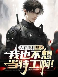 我在美利坚当神探