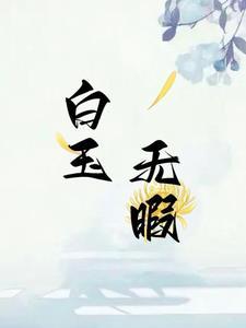 白玉无瑕指什么字