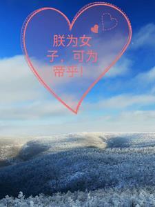 书名 朕为君你为臣