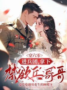 穿六零军嫂