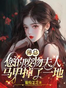 夫人她可不好惹免费阅读