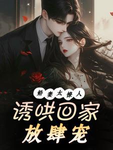 闪婚腹黑老公